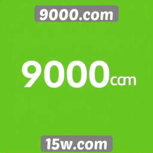 Avaliação da segurança e privacidade em 9000.com